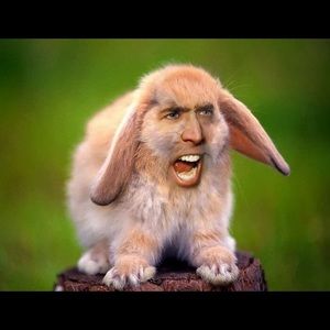 Meet your Posher, Gabriella