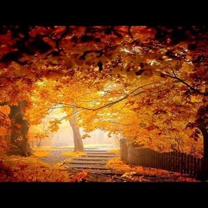 Meet your Posher, Rositsa