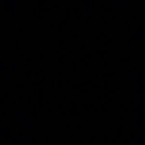 Meet your Posher, Ariana