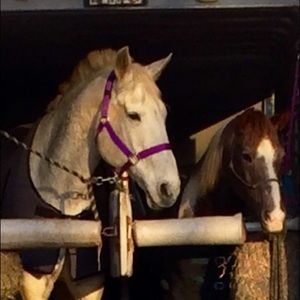 Meet your Posher, Tina