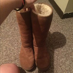 Tall Chestnut UGGS