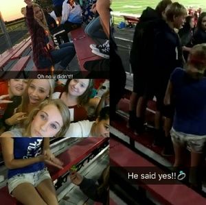 Meet your Posher, Rhiannon