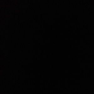 Meet your Posher, Royal