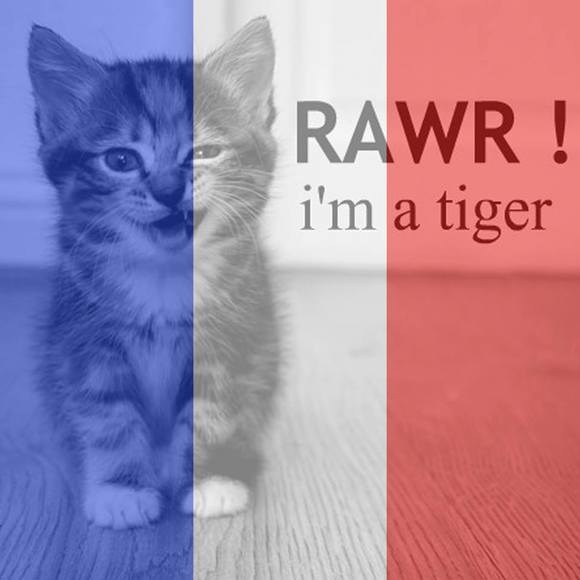 Meet your Posher, Carlos - Picture 1 of 1