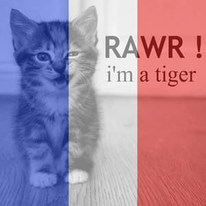 Meet your Posher, Carlos