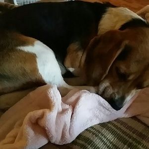 Meet your Posher, Vickie