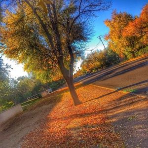 Meet your Posher, Roxanne