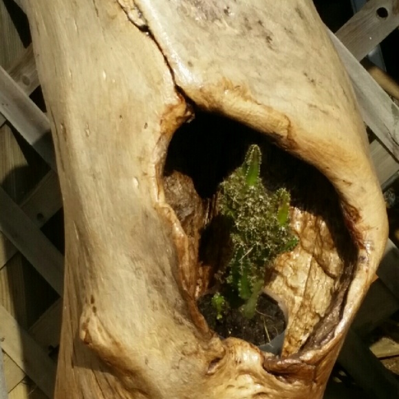 Meet your Posher, Tonya - Picture 4 of 4