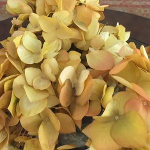 Meet your Posher, Amal