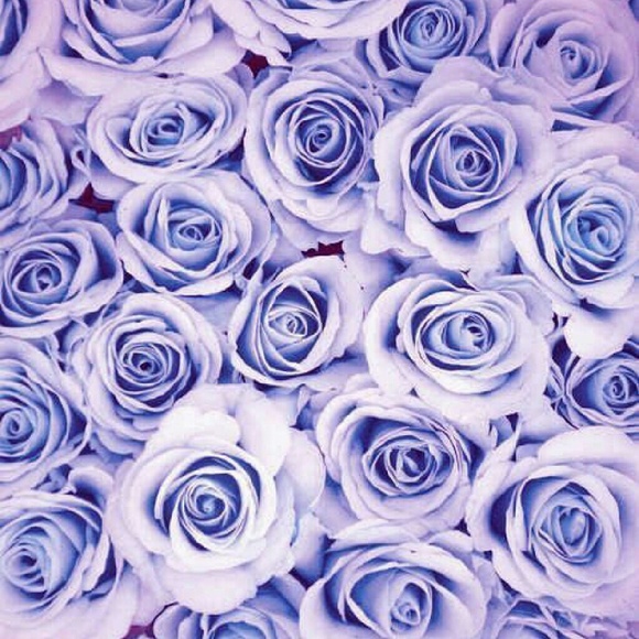 Meet your Posher, Kemaya - Picture 1 of 1