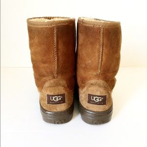 Chestnut short UGGS size 6