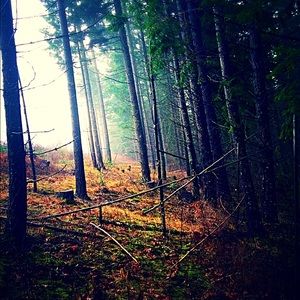 Meet your Posher, Julia