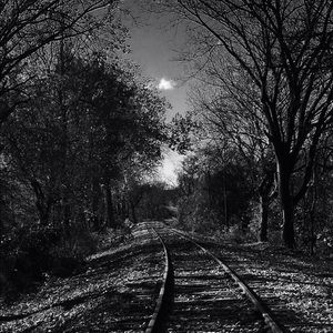 Meet your Posher, Makinzie