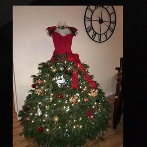 Meet your Posher, Ginger