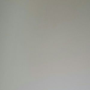 Meet your Posher, Tejasvi