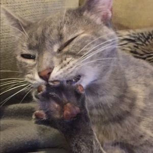 Meet your Posher, Duane