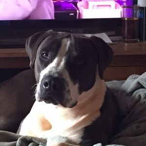 Meet your Posher, Misty