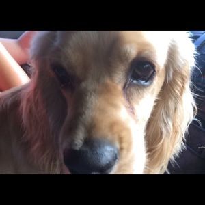 Meet your Posher, Daniela