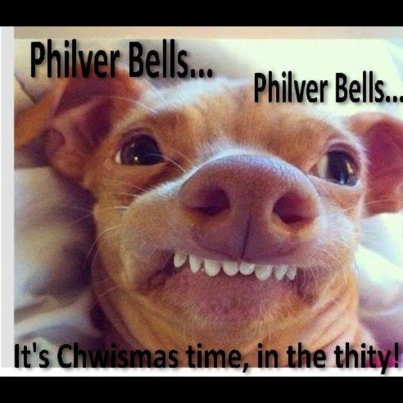 Meet your Posher, Bridget - Picture 2 of 2