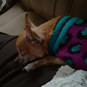 Meet your Posher, Katie