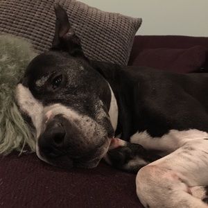 Meet your Posher, Carolle