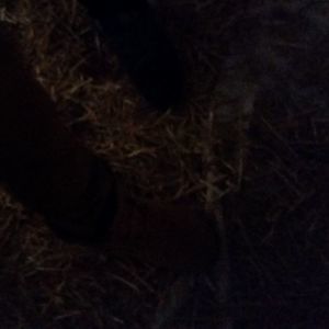 Meet your Posher, Ephraim