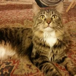 Meet your Posher, Stacy