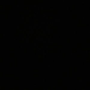 Meet your Posher, Gregnesha