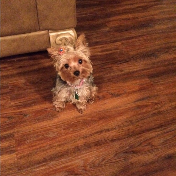 Meet your Posher, Vern