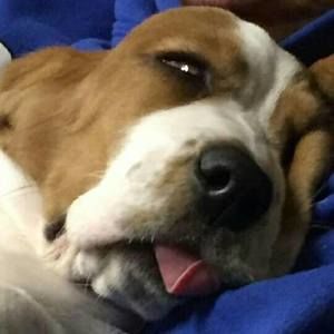 Meet your Posher, Tara