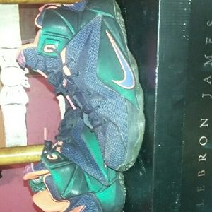 Nike LeBron 12