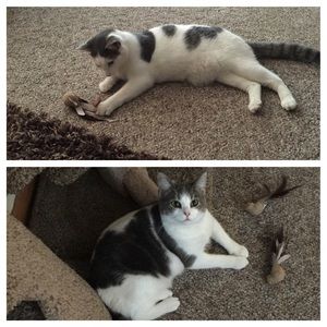 Meet your Posher, Joanne