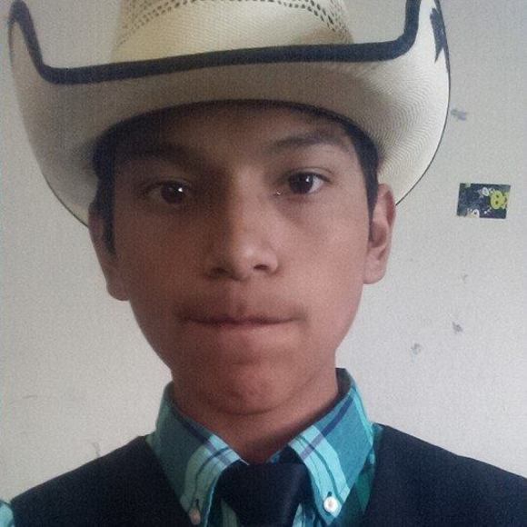 Meet your Posher, Ariel