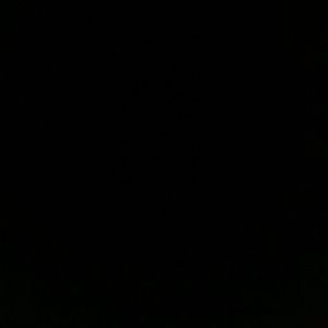 Meet your Posher, Amelia.