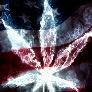 Meet your Posher, Roberto