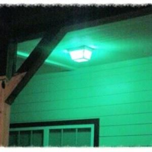 Meet your Posher, Ammie