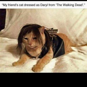 Meet your Posher, Logan