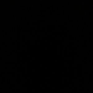 Meet your Posher, Demesha