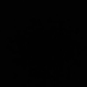 Meet your Posher, Kiara