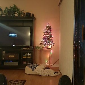 Meet your Posher, Ronald