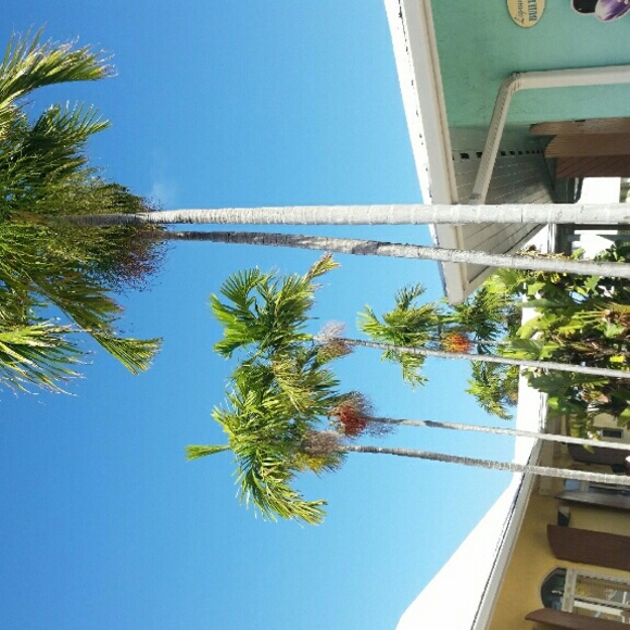 Meet your Posher, April - Picture 1 of 1