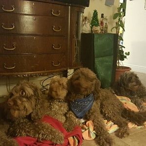 Meet your Posher, Terry