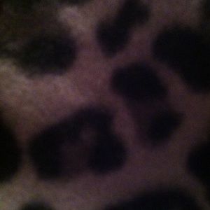 Meet your Posher, Lametrius