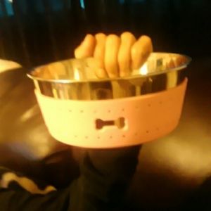 Two brand new dog bowls NEVER used...