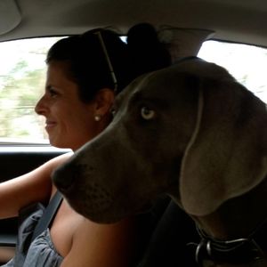 Meet your Posher, Jodi