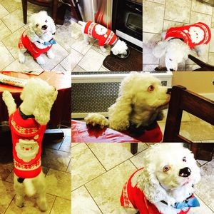 Merry Christmas to all 🌲🍻🎉