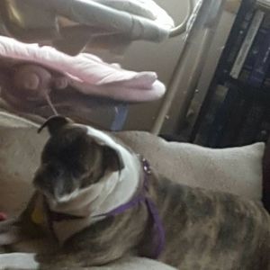 Meet your Posher, Mike