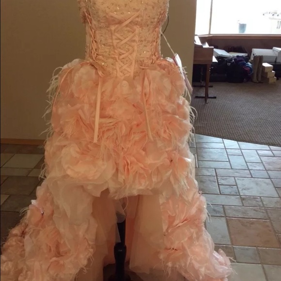 Formal pink feather and floral hi-low dress. - Picture 4 of 4