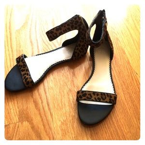 c wonder cheetah flat