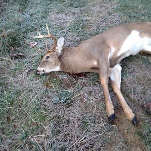 Meet your Posher, Dylan